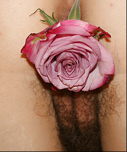 sarahporn69 s flower 2