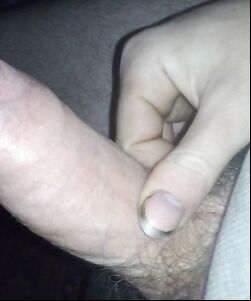 alex53